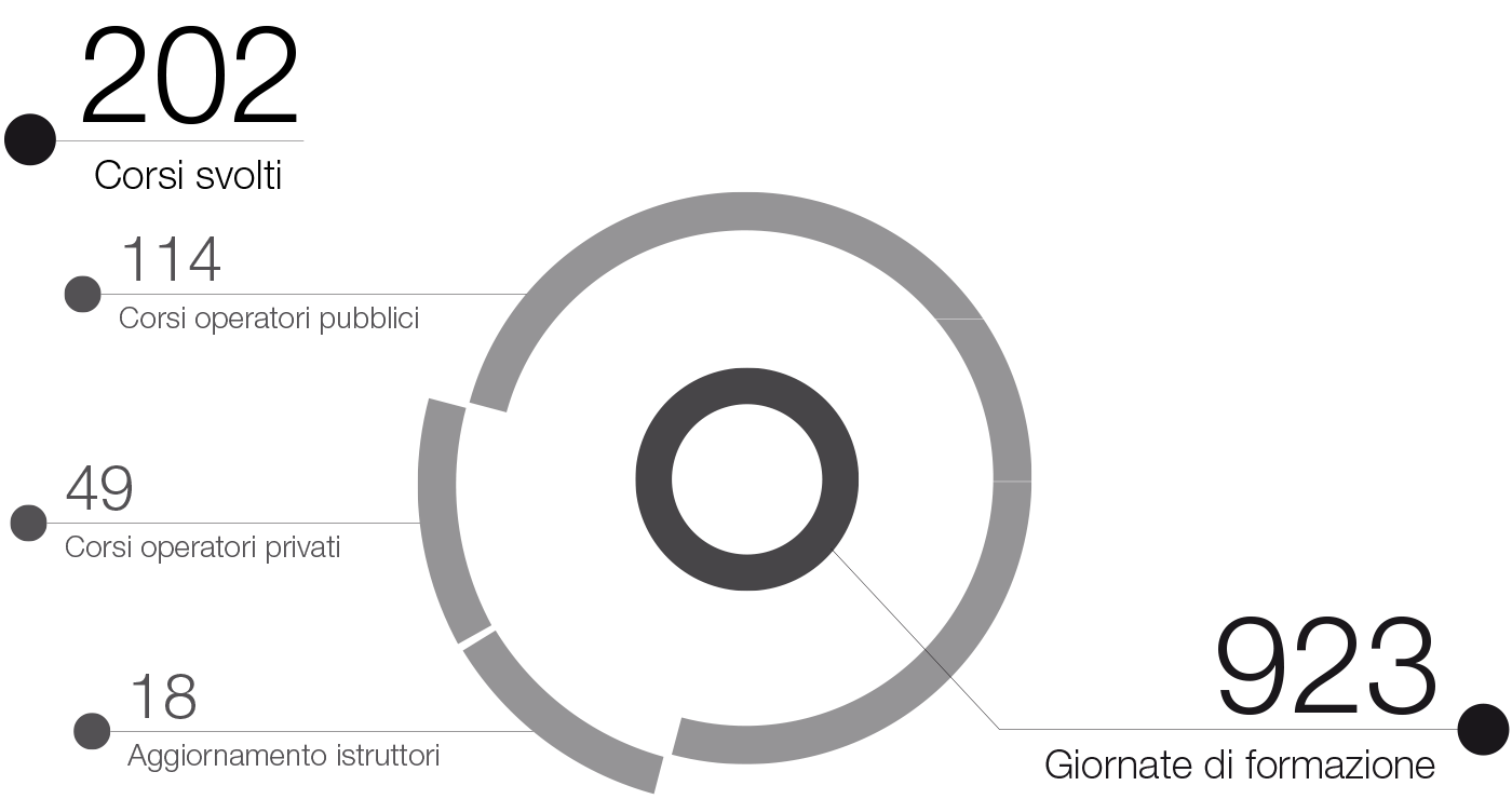 Infografica corsi svolti