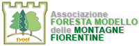 Foresta Modello Montagne Fiorentine